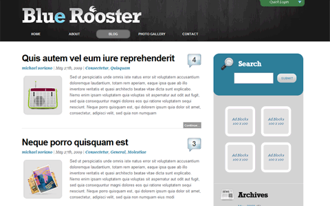 Blue Rooster Theme for WordPress