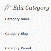 Rename the Uncategorized Category