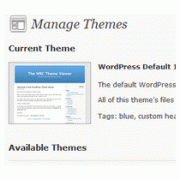 Install the Theme