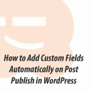 Auto Custom Field