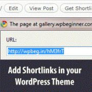 How to Display WordPress Shortlinks in Your Theme