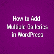 Multiple Galleries in WordPress
