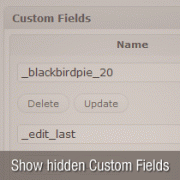 Show Hidden Custom Fields