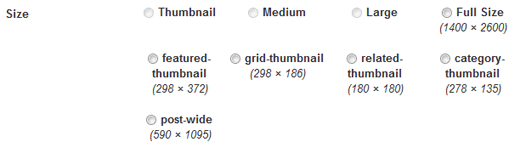 additional sizes will be available for your author to use in the post content.