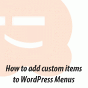 Custom Menu Items