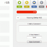 Wufoo Entry UI