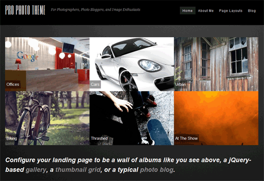 Pro Photo Theme