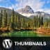 How to Add Featured Images or Post Thumbnails in WordPress