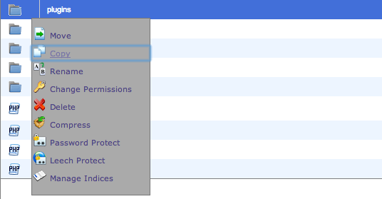 cPanel Copy Folder