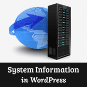 How to Quickly Get System Information in WordPress