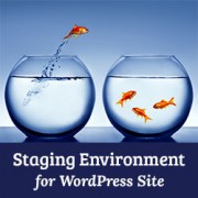 How to create a staging environment for WordPress site