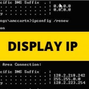Display IP Address