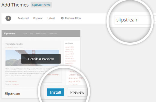 Install a WordPress Theme