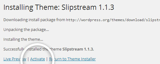Activate a WordPress Theme