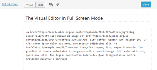 Text editor in full screen mode