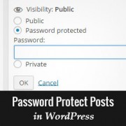 How to Password Protect Posts in WordPress