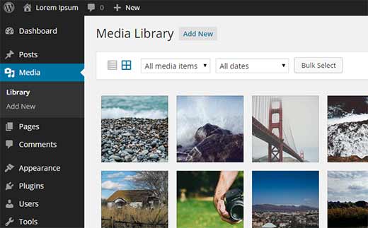 WordPress media library