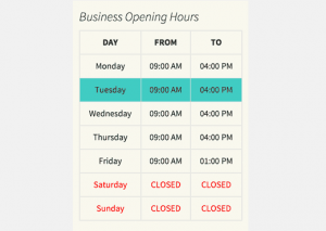 Preview of opening hours table on a WordPress site Preview of opening hours table on a WordPress site
