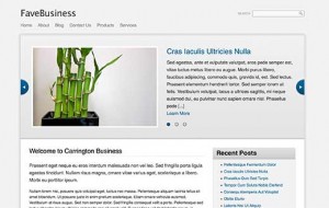 Carrington Build Carrington Build