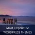 7 Most Expensive Premium WordPress Themes and Why They’re Worth It
