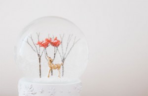 Barn Images Barn Images