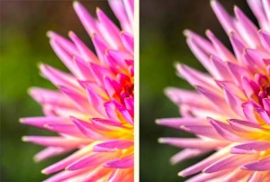 Color and saturation loss in WordPress Color and saturation loss in WordPress