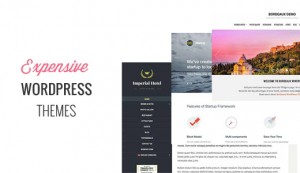 Expensive WordPress Themes Expensive WordPress Themes