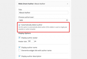 Auto detect author widget Auto detect author widget
