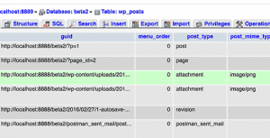 Database entry for attachment post type as seen in phpMyAdmin Database entry for attachment post type as seen in phpMyAdmin