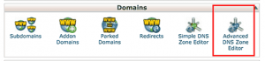 Advanced DNS zone editor in cPanel dashboard Advanced DNS zone editor in cPanel dashboard