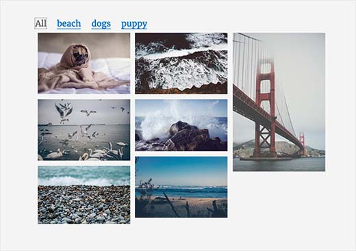 An image gallery with tags An image gallery with tags