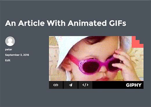 Gif from Giphy embeded into a WordPress post Gif from Giphy embeded into a WordPress post