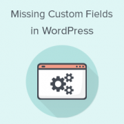 How to Fix Custom Fields Not Showing in WordPress