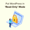 How to put your WordPress site in read only state for site migrations and maintenance