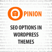 SEO Options in WordPress Themes