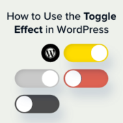 How to show and hide text in WordPress posts with the toggle effect