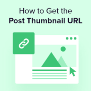 How to Get the Post Thumbnail URL in WordPress