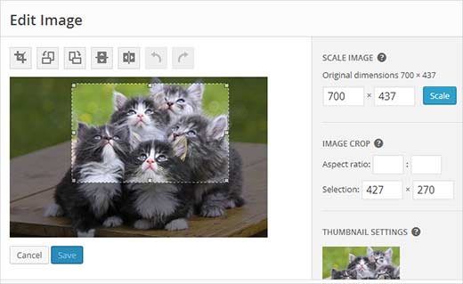 Rotate, crop, scale your image in the image editor