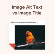 Image Alt Text vs Image Title in WordPress - What's the Difference?