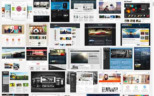 WordPress Themes