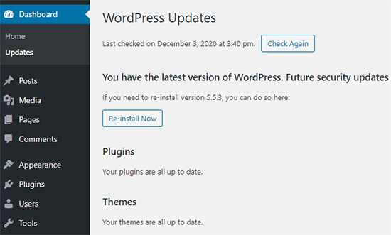 WordPress update screen