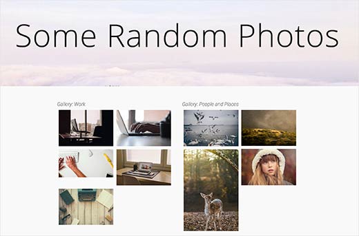 A WordPress page with two image galleries