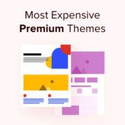 Most Expensive Premium WordPress Themes
