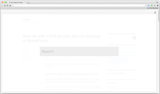 Full screen search
