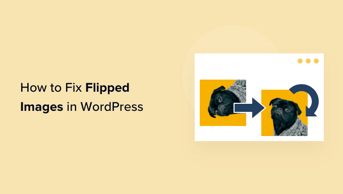 How to Fix Upside-Down or Flipped Images in WordPress