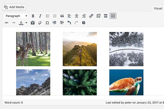 Photos in columns and rows as a gallery in WordPress