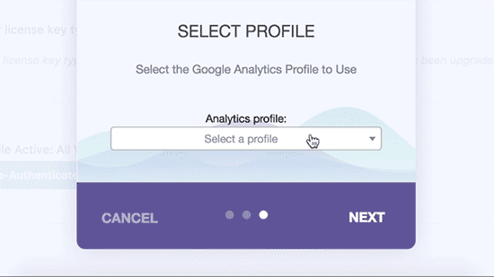 Selecione o perfil do Google Analytics que deseja acompanhar