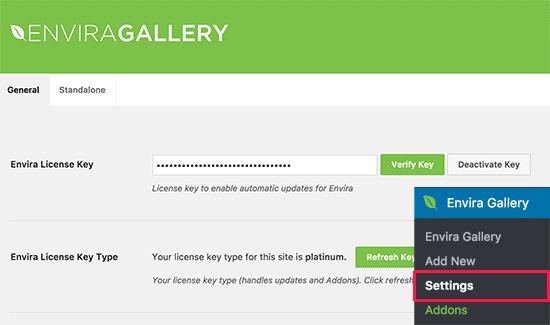 输入您的Envira Gallery许可证密钥