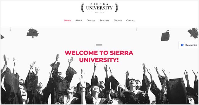 Astra university website theme