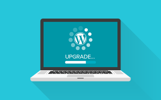 Beginner's Guide: How to Safely Update WordPress (Infographic)